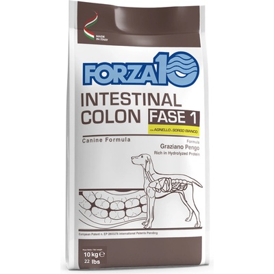 Forza 10 Intestinal Colon Phase 1 jahňacie 10 kg
