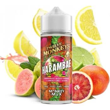Image 1 of Twelve Monkeys - Harambae 100ml