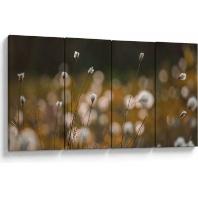 Obraz - Lúka s cottongrass N⁰2, štvordielne 160x80 cm