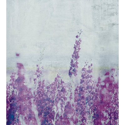 DIMEX MS-3-0365 vliesová fototapeta rozměry 225 x 250 cm