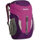 Boll Trapper boysenberry