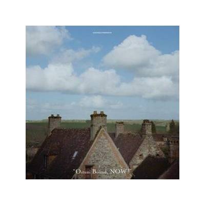 Axefield - Ostuni Bound, Now! LP