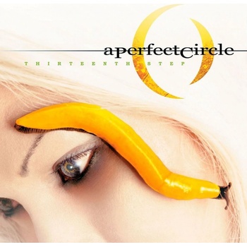 A PERFECT CIRCLE: THIRTEENTH STEP LP