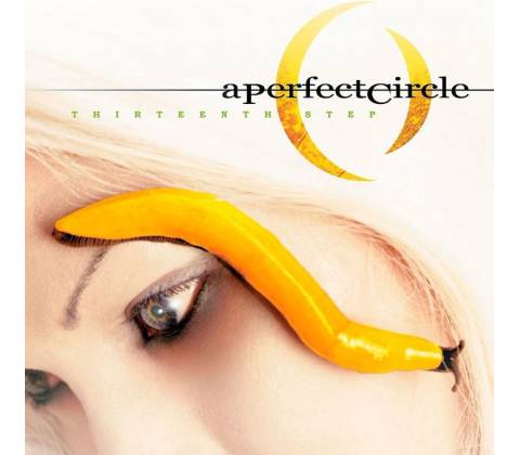A PERFECT CIRCLE: THIRTEENTH STEP LP