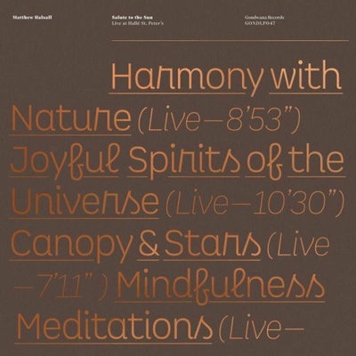 Salute to the Sun - Matthew Halsall LP