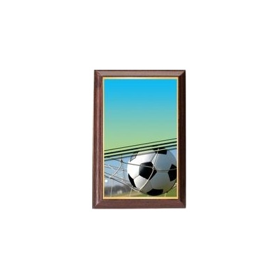 Poháry Bauer Plaketa PLP3M1 Fotbal