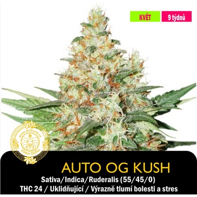 Drskunk Auto Og Kush Feminizováno semena neobsahují THC 1 ks