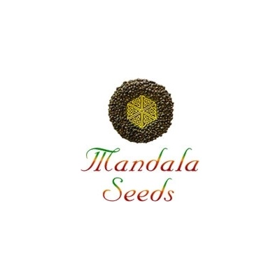 Mandala Seeds Satori semena neobsahují THC 10 ks