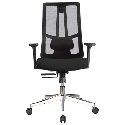 RFG Ергономичен стол Artur W, тъмносива седалка, черна облегалка (O4010200414)