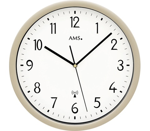 AMS 5576LG