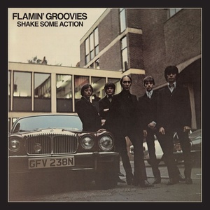 Flamin' Groovies - Shake Some Action (2 CD) (0603497806133)