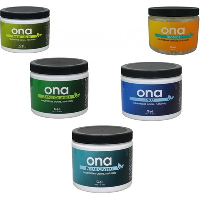 Odorchem Manufactoring Corporation ONA Gel 1 l Ovocné splynutí