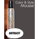 Omeisan Color & Style Mousse tužidlo antracit 200 ml