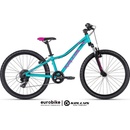 Kellys Kiter 50 2024