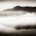 PART A.: ARVO PART LP