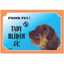 Dafiko Tabuľka jazvečík hrubosrstý 1 ks