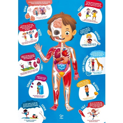 Hape Moje tělo 60 dílků.
