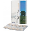 ICF s.r.l. Epato 750 30 tbl