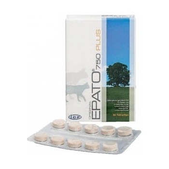 ICF s.r.l. Epato 750 30 tbl