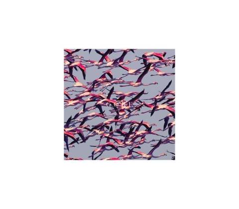 Deftones - Gore LP