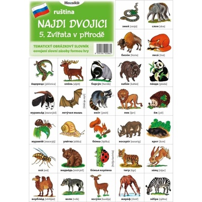 Najdi dvojici - Ruština - 5. Zvířata v přírodě