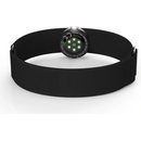 POLAR OH1