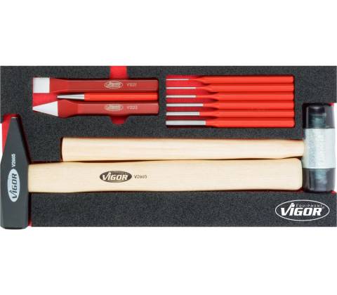 VIGOR V5006