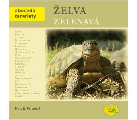 Želva zelenavá