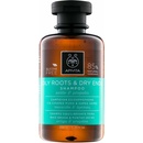 Šampony Apivita Oily Roots Dry Ends šampon 250 ml