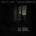 Nada Surf, MOON MIRROR, CD