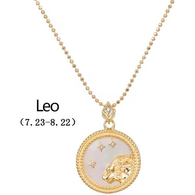 Majya Stříbrný přívěsek s řetízkem MOONLIGHT LEO 10882