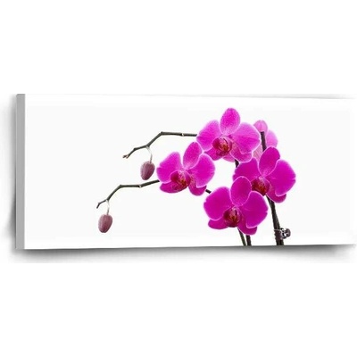 Sablio Obraz Fialové orchideje - 110x50 cm