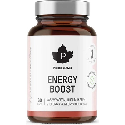 Puhdistamo Energy Boost 60 kapsúl