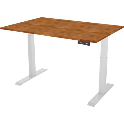 Delso Výškovo nastaviteľný stôl PROJUSTER 120 x 70 cm jelša / biela