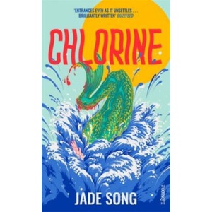 Chlorine (ISBN: 9781804440933)