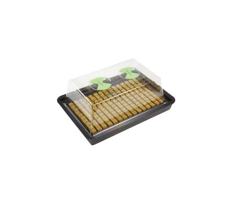 X-Stream Basic S