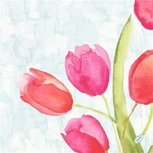 Dunisoft Obrúsok BioPainted Tulips 100031858 40x40cm 60ks