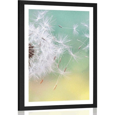 Plakát s paspartou kouzelná pampeliška - 30x45 silver