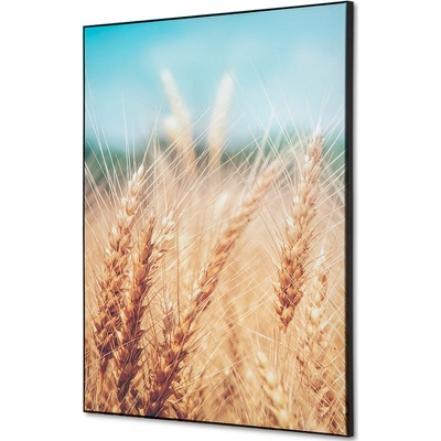 Jansen Display Textilní dekorace na zeď A2 Obilné Pole, 420 x 594 mm