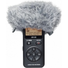Tascam WS-11