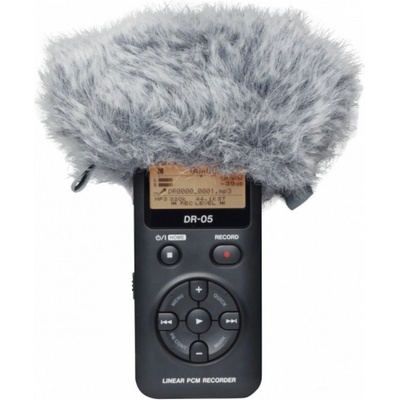 Tascam WS-11