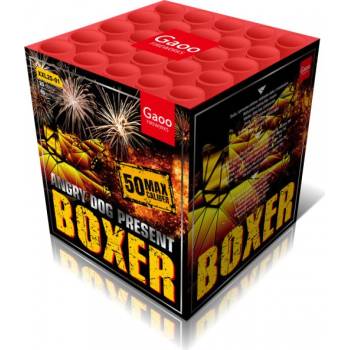 Gaoo Fireworks Ohňostroj BOXER baterie 25 ran XXL25-01