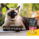 Kapsičky pre mačky Josera Cat Super Premium Filet chick.& beef 70 g