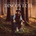 Zucchero Sugar Fornaciari - Discover II (2 LP) (0602475021186)