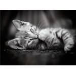 Clementoni - Puzzle Kitty - 1 000 piese