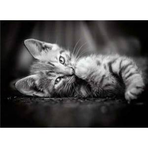 Clementoni - Puzzle Kitty - 1 000 piese
