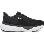 Under Armour Infinite pro 2 w 38.5