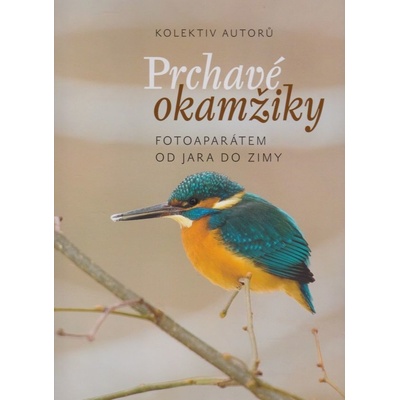 Prchavé okamžiky přírody - Fotoaparátem od jara do zimy - kolektiv autorů