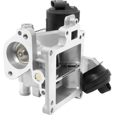 BorgWarner AGR ventil OE-Version/Genuine BGW 710488D0