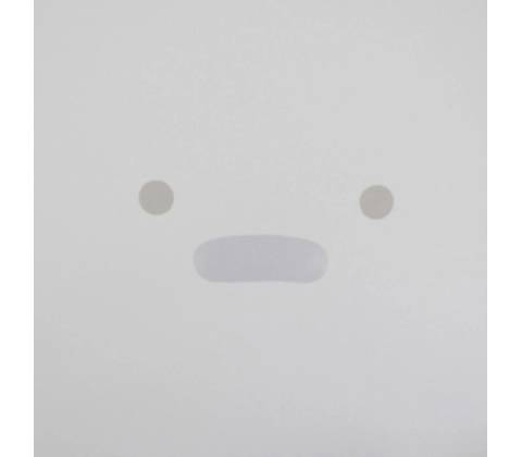 SILICON: PERSONAL COMPUTER LP